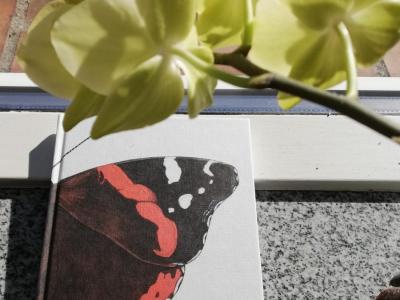 Bogen "Per" i en vindueskarm med en blomst