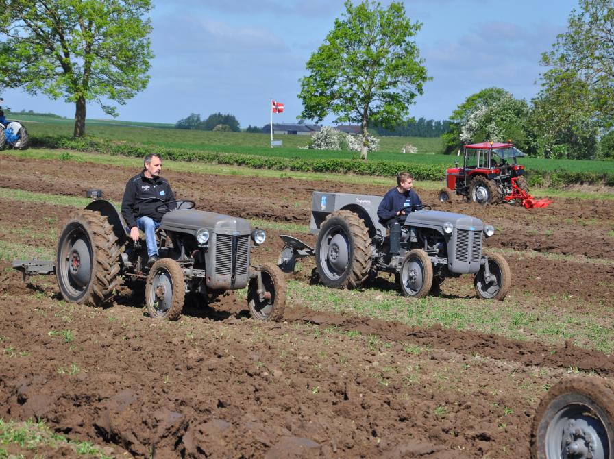 Ferguson-traktorer i brug. 