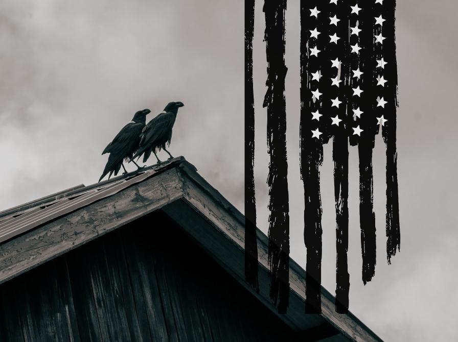 Krager på taget og amerikansk flag